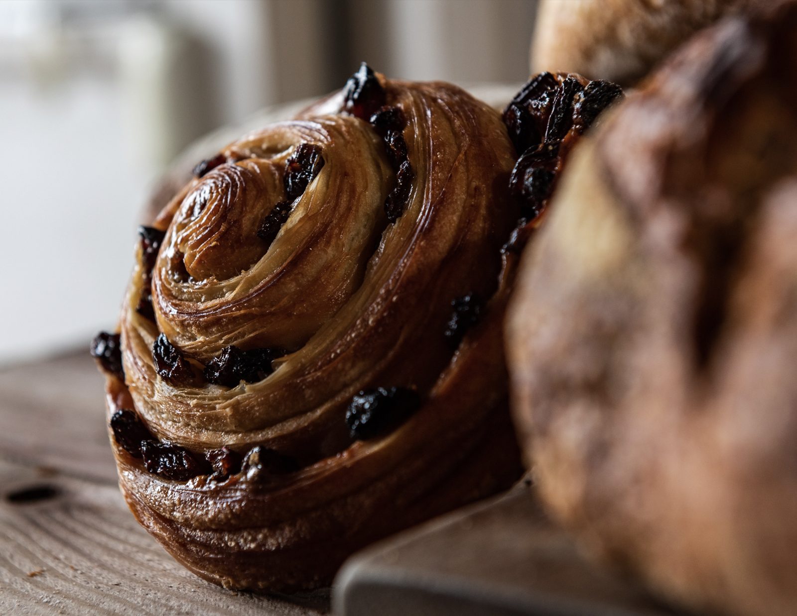 A glazed pastry swirl studded with raisins