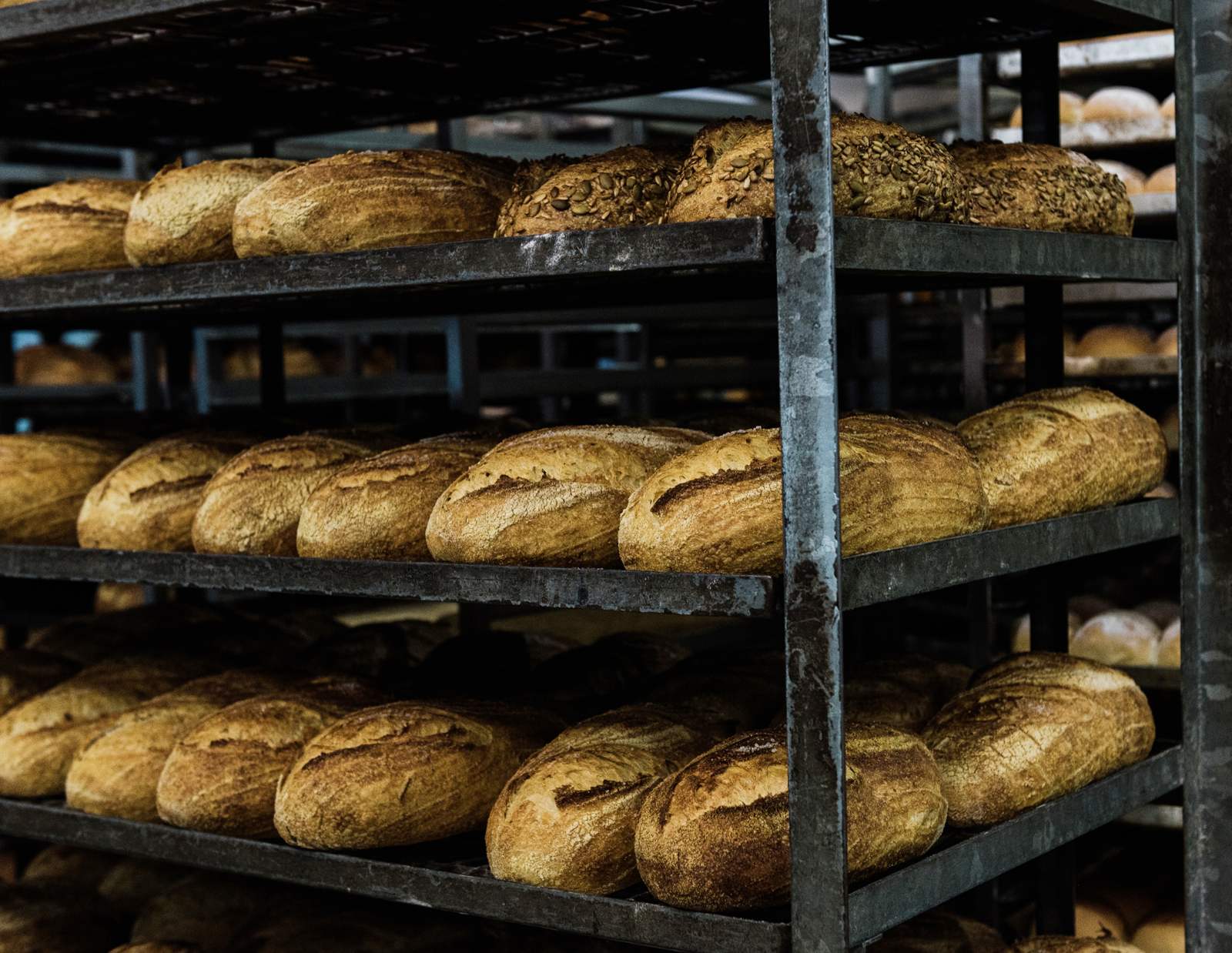 Racks of freshly baked sourdough at the Cavan bakery